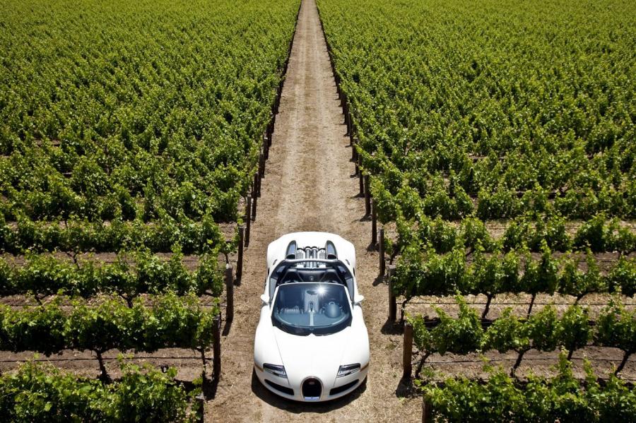  Bugatti Veyron 16.4 Grand Sport Roadster 2008 года  (фото 180 из 186)